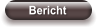 Bericht