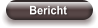 Bericht