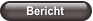 Bericht