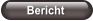 Bericht