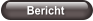 Bericht