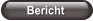 Bericht