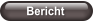 Bericht